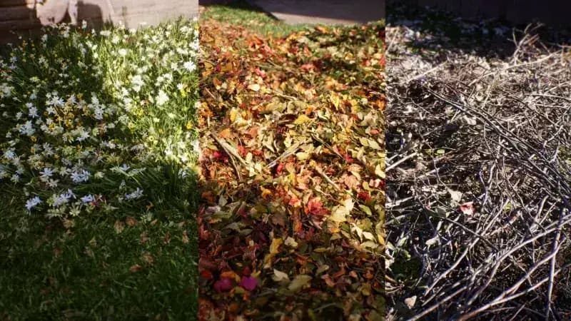 Seasonal Dumpster Rental Guide: Spring Cleaning to Holiday Cleanup