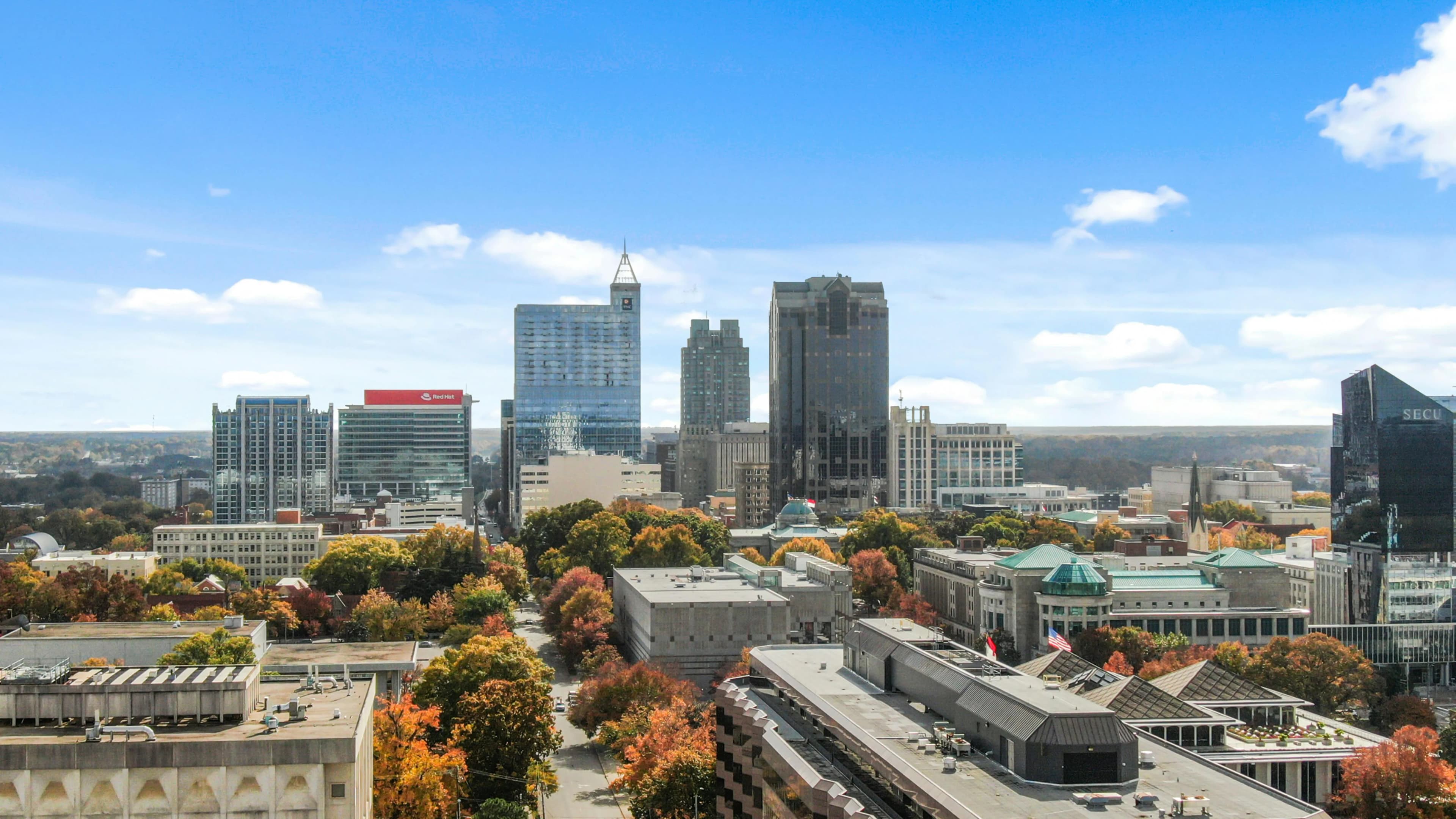 Raleigh skyline